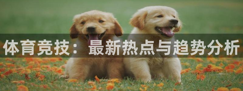 谈球吧体育：体育竞技：最新热点与趋势分析