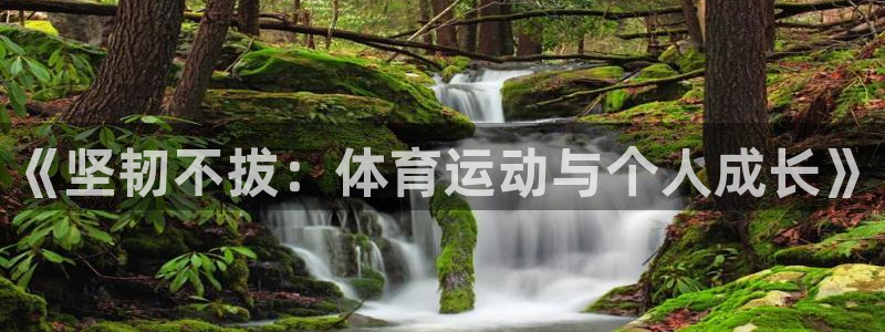 谈球吧：《坚韧不拔：体育运动与个人成长》