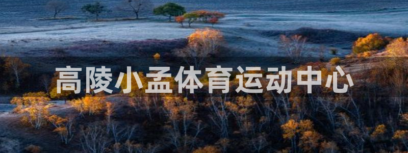 谈球吧体育：高陵小孟体育运动中心