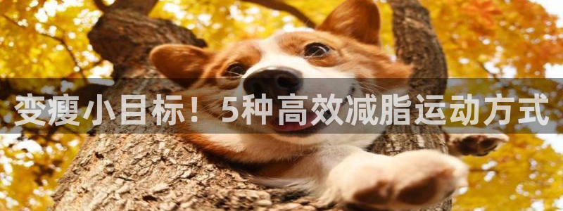 谈球吧：变瘦小目标！5种高效减脂运动方式