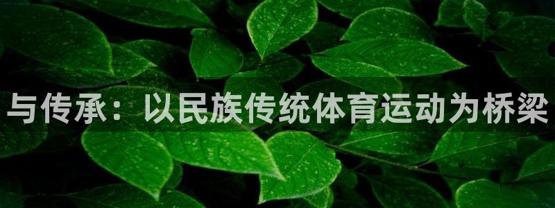 谈球吧：与传承：以民族传统体育运动为桥梁