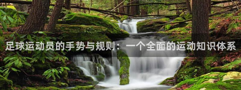 谈球吧体育官网：足球运动员的手势与规则：一个全面的运动知识体系