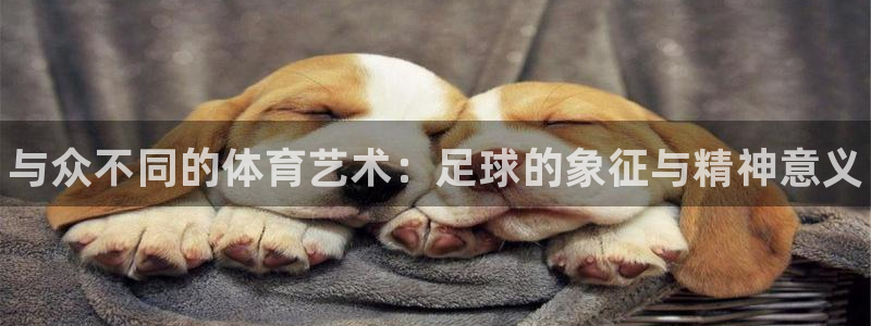 谈球吧体育官网：与众不同的体育艺术：足球的象征与精神意义