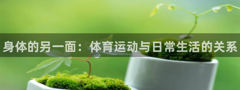 谈球吧：身体的另一面：体育运动与日常生活的关系