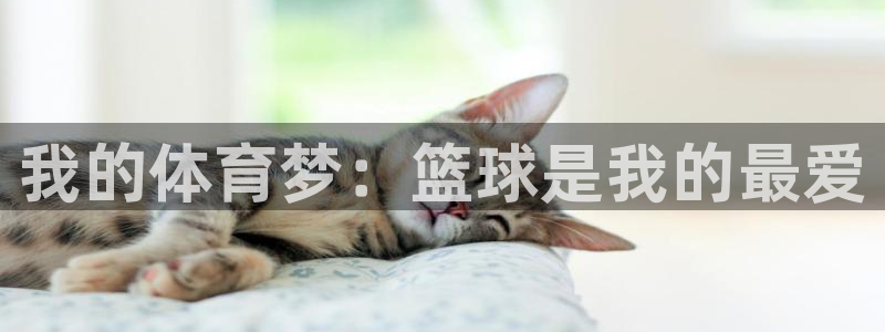 谈球吧体育：我的体育梦：篮球是我的最爱