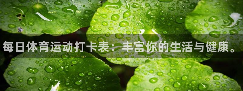 谈球吧体育官网：每日体育运动打卡表：丰富你的生活与健康。