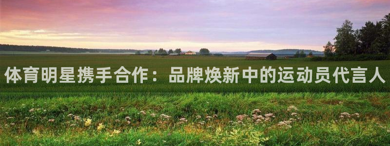 谈球吧体育官网：体育明星携手合作：品牌焕新中的运动员代言人