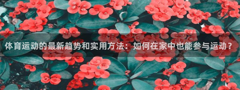 谈球吧体育官网：体育运动的最新趋势和实用方法：如何在家中也能参与运动？