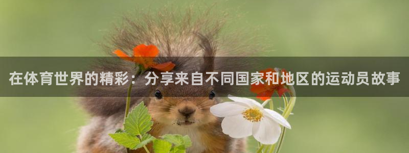 谈球吧体育官网：在体育世界的精彩：分享来自不同国家和地区的运动员故事