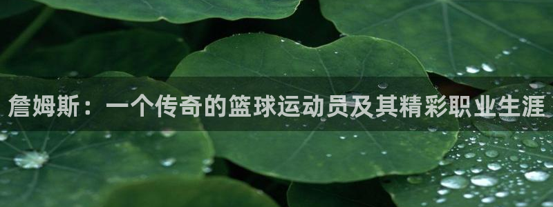 谈球吧体育：詹姆斯：一个传奇的篮球运动员及其精彩职业生涯