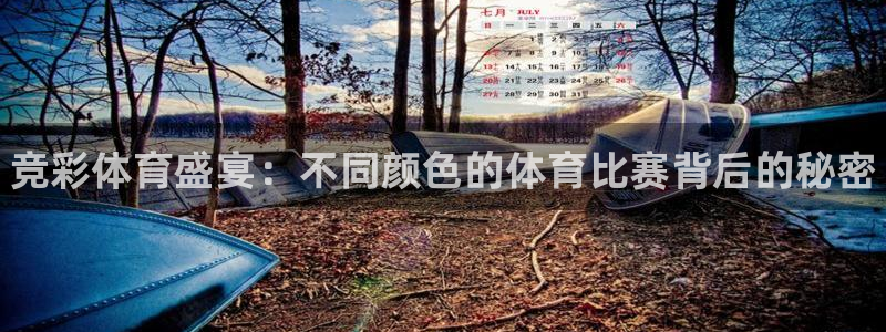 谈球吧体育：竞彩体育盛宴：不同颜色的体育比赛背后的秘密
