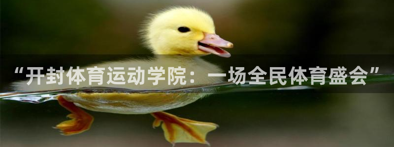 谈球吧：“开封体育运动学院：一场全民体育盛会”