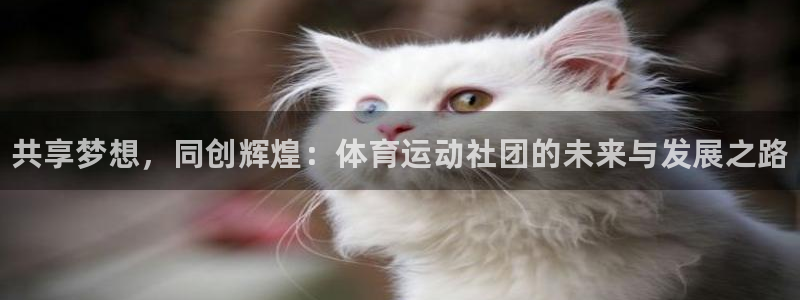谈球吧体育官网：共享梦想，同创辉煌：体育运动社团的未来与发展之路