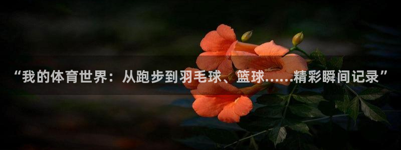 谈球吧体育：“我的体育世界：从跑步到羽毛球、篮球……精彩瞬间记录”