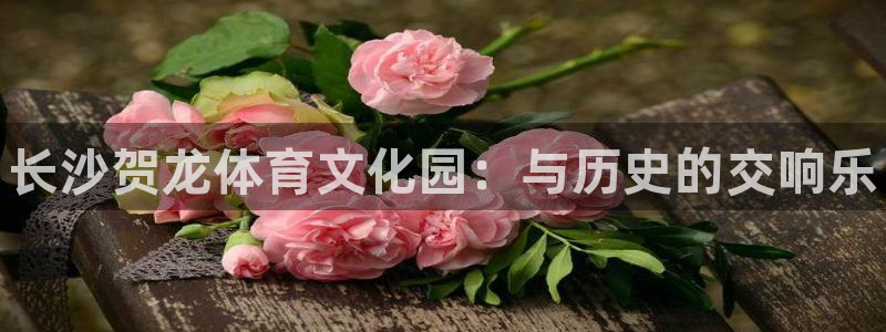 谈球吧：长沙贺龙体育文化园：与历史的交响乐