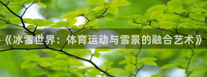 谈球吧：《冰雪世界：体育运动与雪景的融合艺术》
