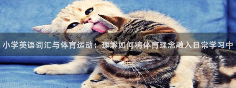 谈球吧：小学英语词汇与体育运动：理解如何将体育理念融入日常学习中