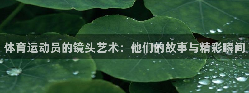 谈球吧体育官网：体育运动员的镜头艺术：他们的故事与精彩瞬间