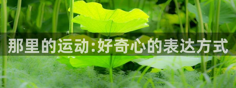 谈球吧体育：那里的运动:好奇心的表达方式