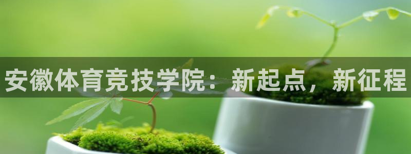 谈球吧体育：安徽体育竞技学院：新起点，新征程