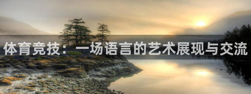 谈球吧：体育竞技：一场语言的艺术展现与交流
