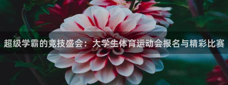 谈球吧体育：超级学霸的竞技盛会：大学生体育运动会报名与精彩比赛