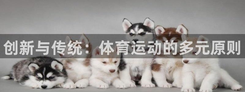 谈球吧体育官网：创新与传统：体育运动的多元原则