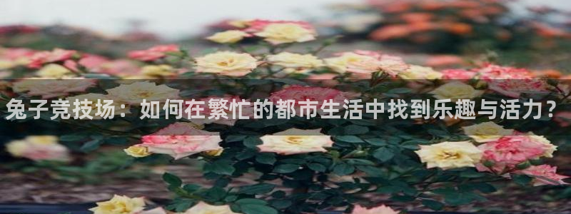 谈球吧体育：兔子竞技场：如何在繁忙的都市生活中找到乐趣与活力？