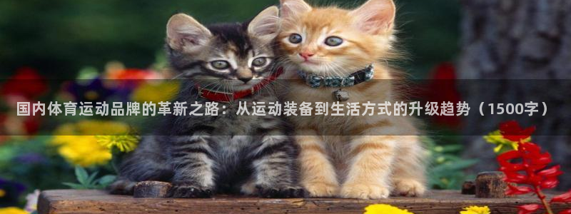 谈球吧：国内体育运动品牌的革新之路：从运动装备到生活方式的升级趋势（1500字）