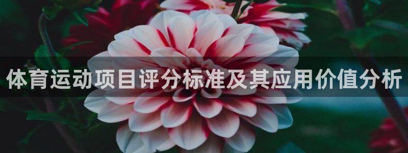 谈球吧：体育运动项目评分标准及其应用价值分析