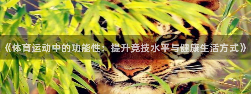 谈球吧：《体育运动中的功能性：提升竞技水平与健康生活方式》