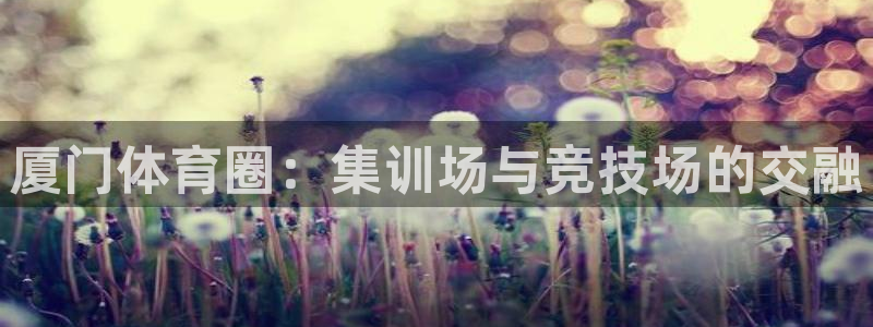 谈球吧体育官网：厦门体育圈：集训场与竞技场的交融