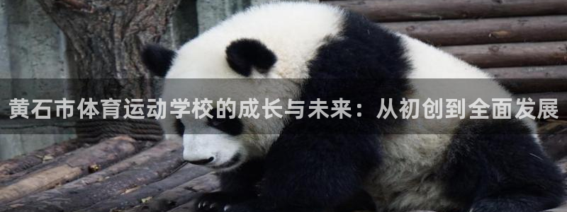 谈球吧：黄石市体育运动学校的成长与未来：从初创到全面发展