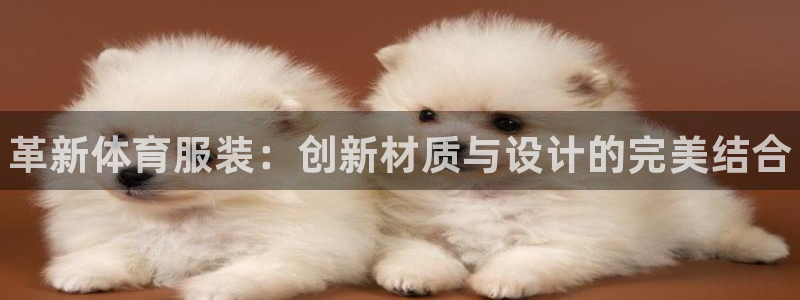 谈球吧体育：革新体育服装：创新材质与设计的完美结合